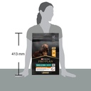 Pro Plan Small Mini Adult Everyday Nutrition Dry Dog Food with Chicken 3 Kg