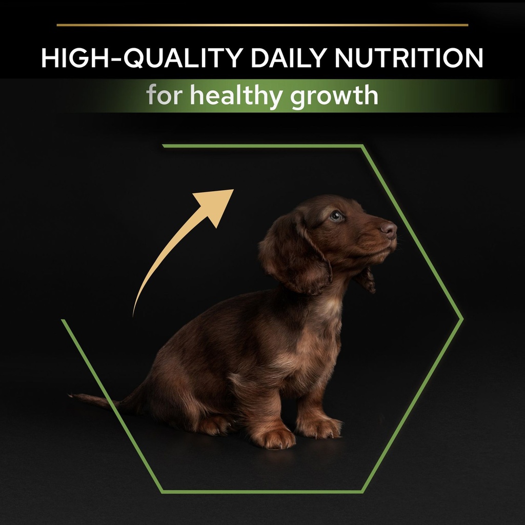 Pro Plan Small Mini Puppy Healthy Start Dry Dog Food with Chicken 3Kg