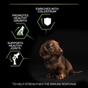 Pro Plan Small Mini Puppy Healthy Start Dry Dog Food with Chicken 3Kg