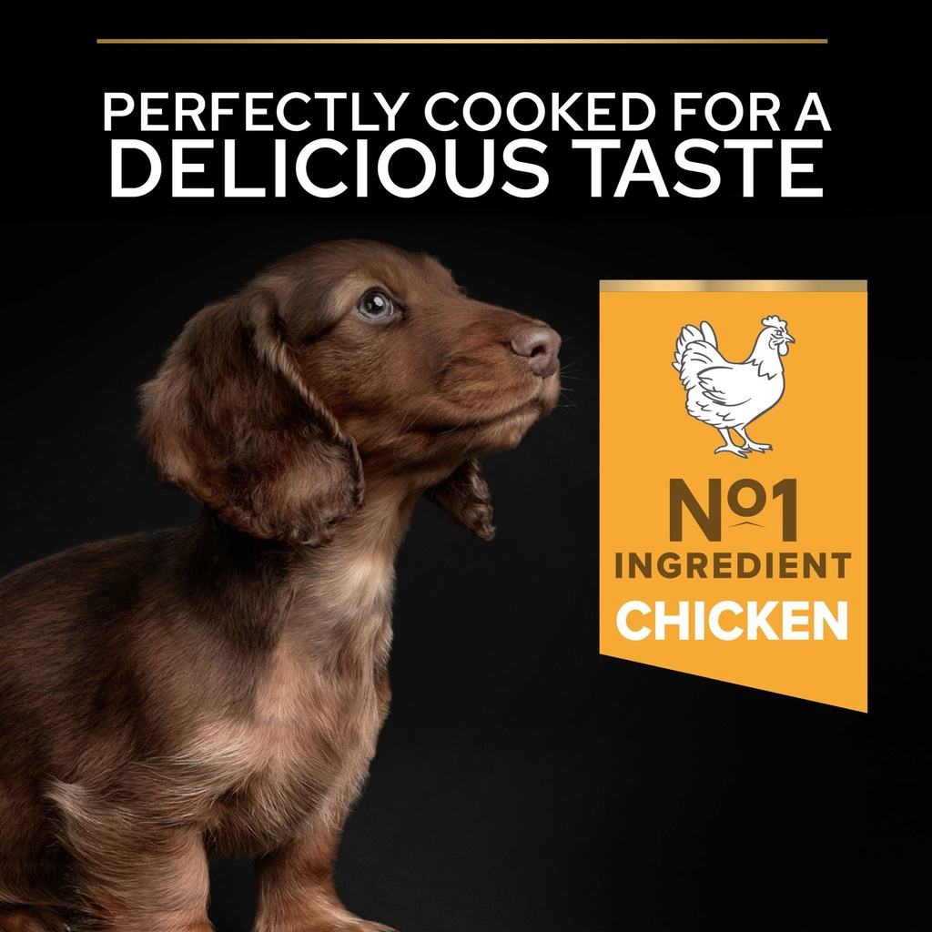 Pro Plan Small Mini Puppy Healthy Start Dry Dog Food with Chicken 3Kg