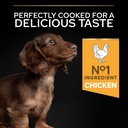 Pro Plan Small Mini Puppy Healthy Start Dry Dog Food with Chicken 3Kg