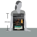 Pro Plan Small Mini Puppy Healthy Start Dry Dog Food with Chicken 3Kg