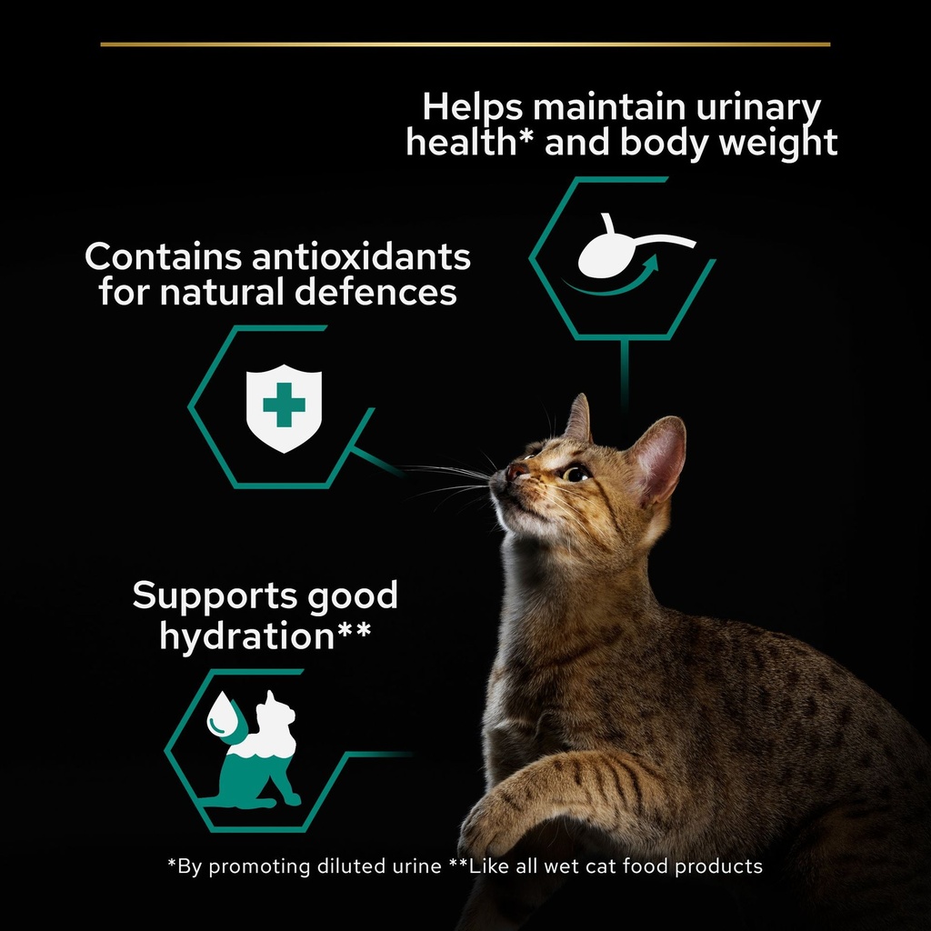 Pro Plan Sterilized Adult Renal Plus Wet Cat Food Pouch Beef in Gravy 85g