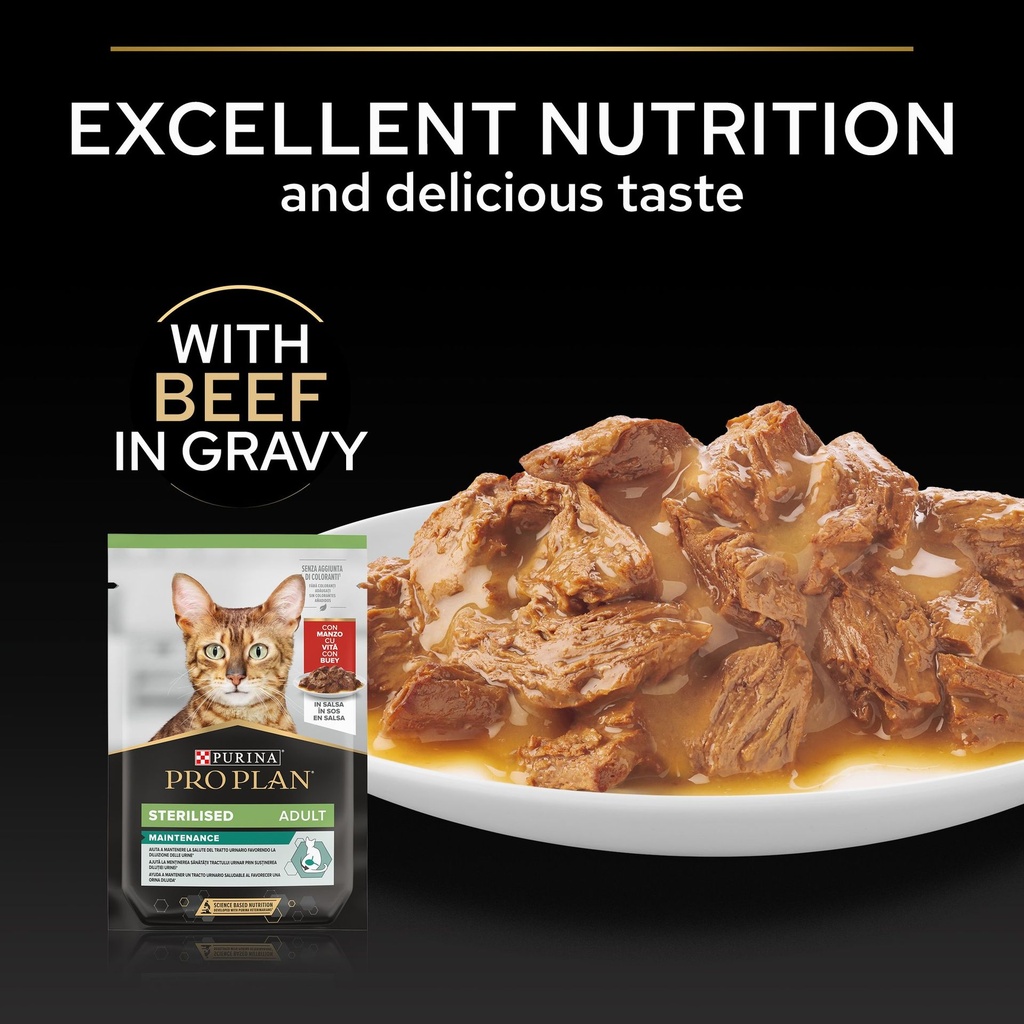 Pro Plan Sterilized Adult Renal Plus Wet Cat Food Pouch Beef in Gravy 85g