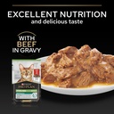 Pro Plan Sterilized Adult Renal Plus Wet Cat Food Pouch Beef in Gravy 85g