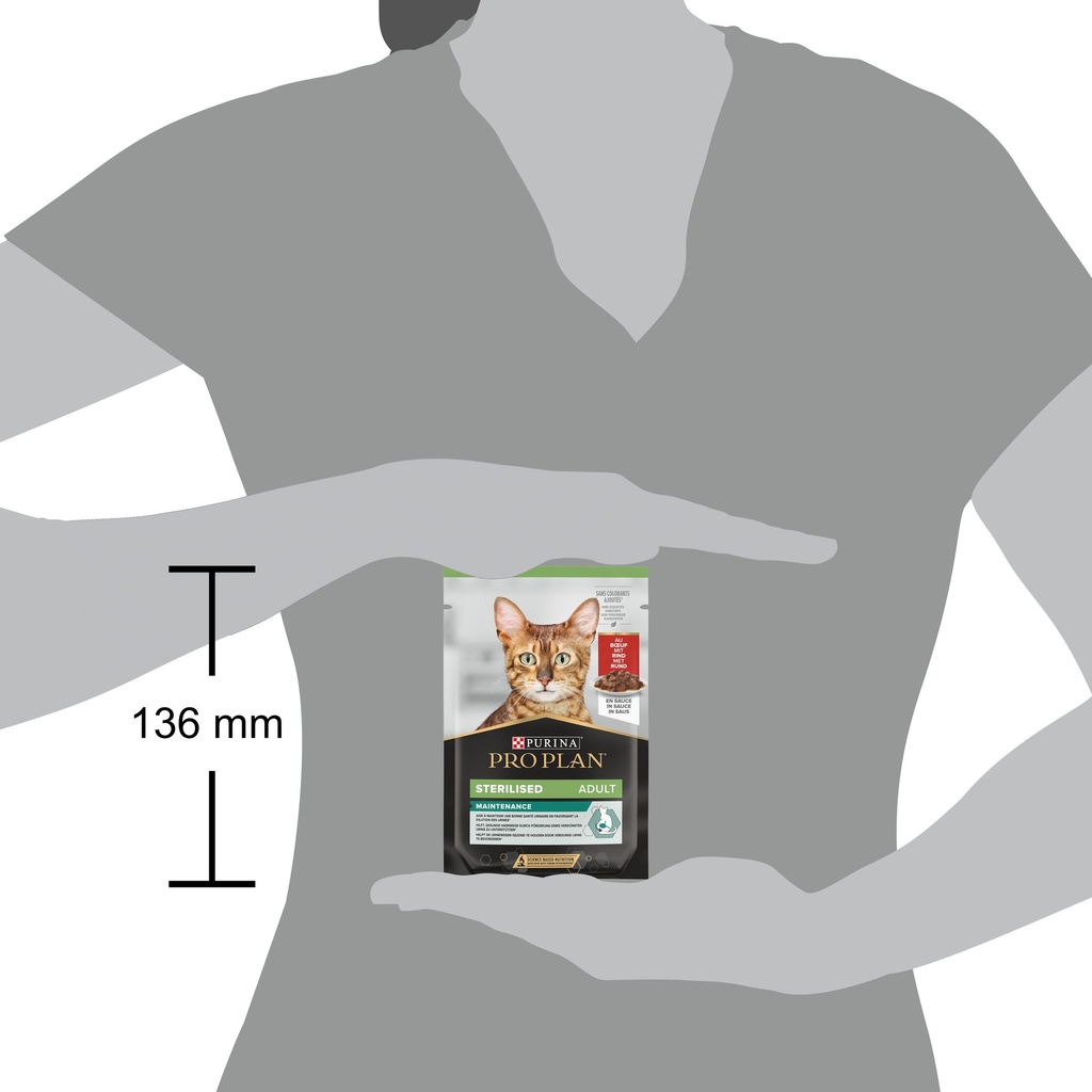 Pro Plan Sterilized Adult Renal Plus Wet Cat Food Pouch Beef in Gravy 85g