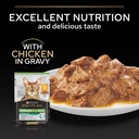 Pro Plan Sterilized Adult Renal Plus Wet Cat Food Pouch Chicken in Gravy 85g