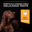 Pro Plan Large Athletic Puppy Healthy Start Dry Dog Food with Chicken 12Kg