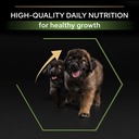 Pro Plan Large Robust Puppy Healthy Start Dry Dog Food with Chicken 12Kg