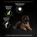 Pro Plan Large Robust Puppy Healthy Start Dry Dog Food with Chicken 12Kg