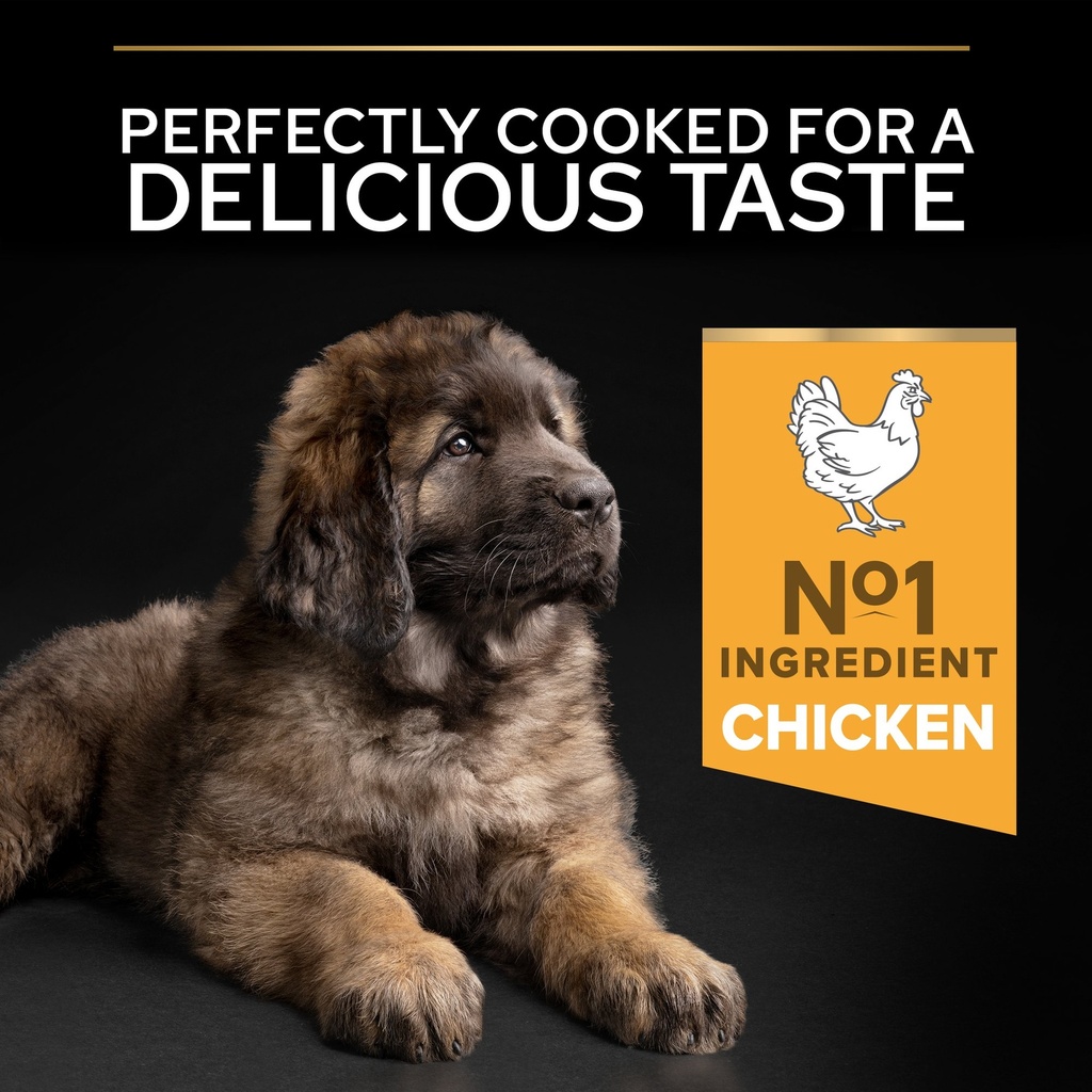 Pro Plan Large Robust Puppy Healthy Start Dry Dog Food with Chicken 12Kg