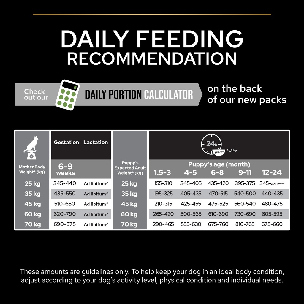 Pro Plan Large Robust Puppy Healthy Start Dry Dog Food with Chicken 12Kg