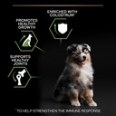 Pro Plan Medium Puppy Healthy Start Dry Dog Food with Chicken 12Kg