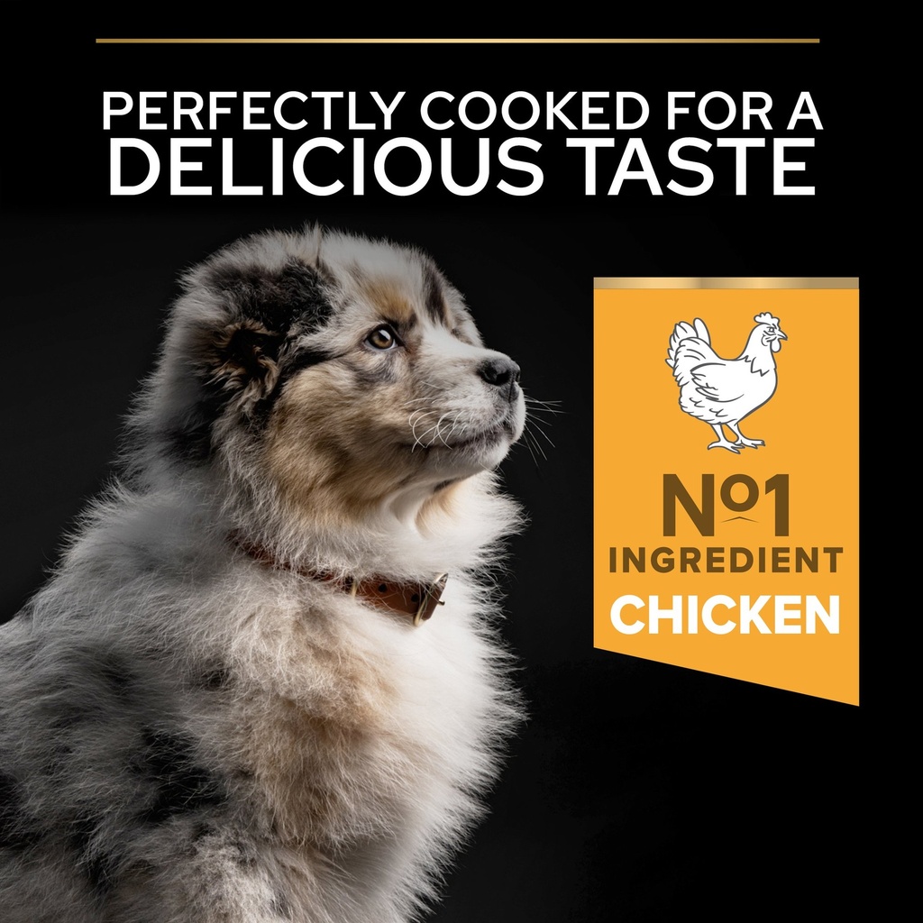 Pro Plan Medium Puppy Healthy Start Dry Dog Food with Chicken 12Kg