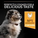 Pro Plan Medium Puppy Healthy Start Dry Dog Food with Chicken 12Kg