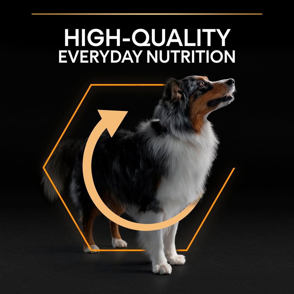 Pro Plan Medium Adult Everyday Nutrition Dry Dog Food with Chicken 14Kg