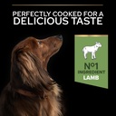 Pro Plan Small Mini Adult Sensitive Digestion Dry Dog Food with Lamb 3Kg