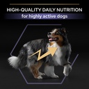 Pro Plan All Size Performance Dry Dog Food with Chicken 18Kg