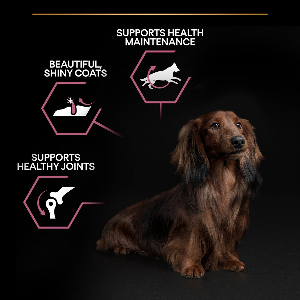 Pro Plan Small Mini Adult Sensitive Skin Dry Dog Food with Salmon 3Kg