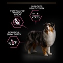 Pro Plan Medium Adult Sensitive Skin Dry Dog Food with Salmon 14Kg