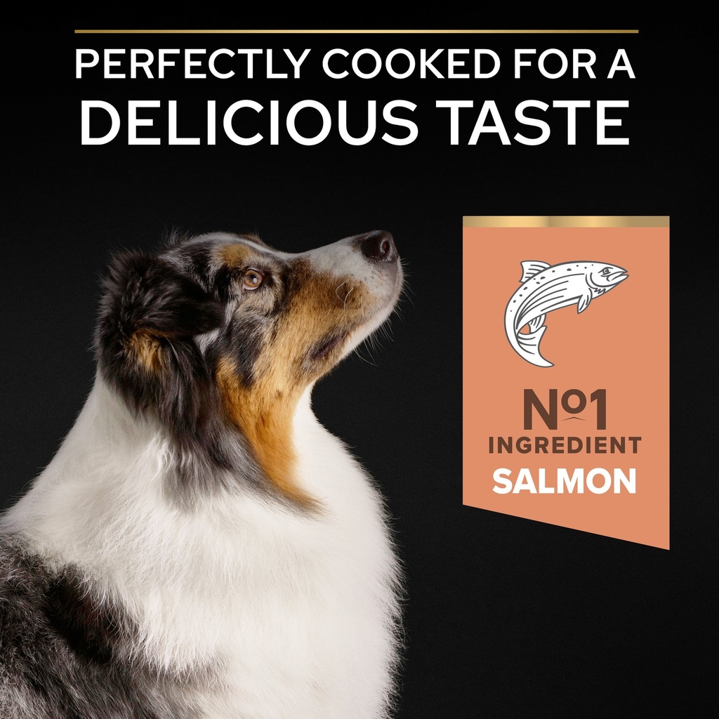 Pro Plan Medium Adult Sensitive Skin Dry Dog Food with Salmon 14Kg