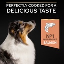 Pro Plan Medium Adult Sensitive Skin Dry Dog Food with Salmon 14Kg