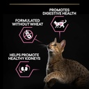 Pro Plan Delicate Adult Cat Food Turkey 3kg 