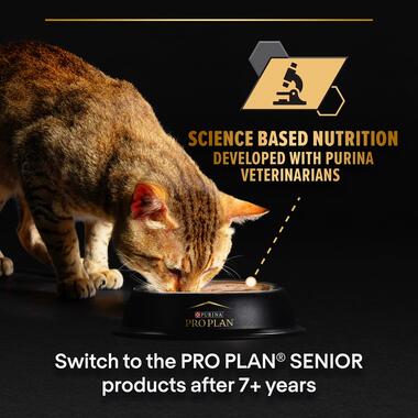 Pro Plan Delicate Cat Mousse with Turkey 85g 