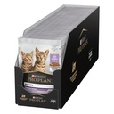 Pro Plan Kitten Healthy Start Wet Cat Food Pouch Turkey in Gravy 85g