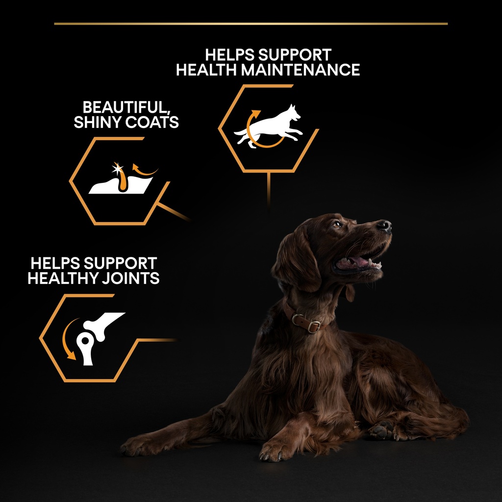 Pro Plan Large Athletic Adult Everyday Nutrition Dry Dog Food with Chicken 14Kg