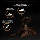 Pro Plan Large Athletic Adult Everyday Nutrition Dry Dog Food with Chicken 14Kg