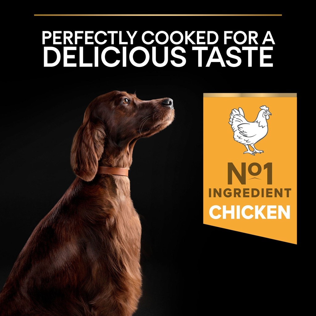 Pro Plan Large Athletic Adult Everyday Nutrition Dry Dog Food with Chicken 14Kg