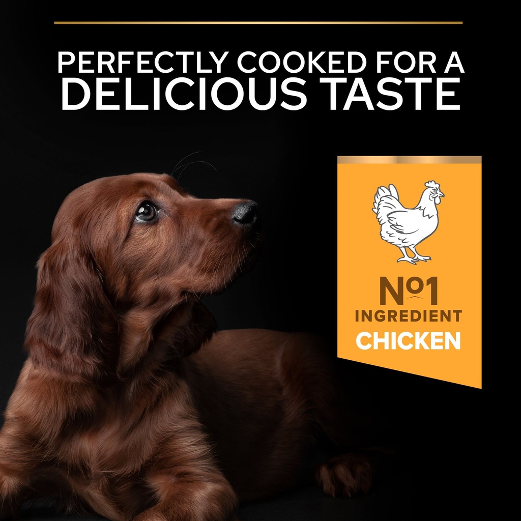 Pro Plan Large Athletic Puppy Healthy Start Dry Dog Food with Chicken 3Kg