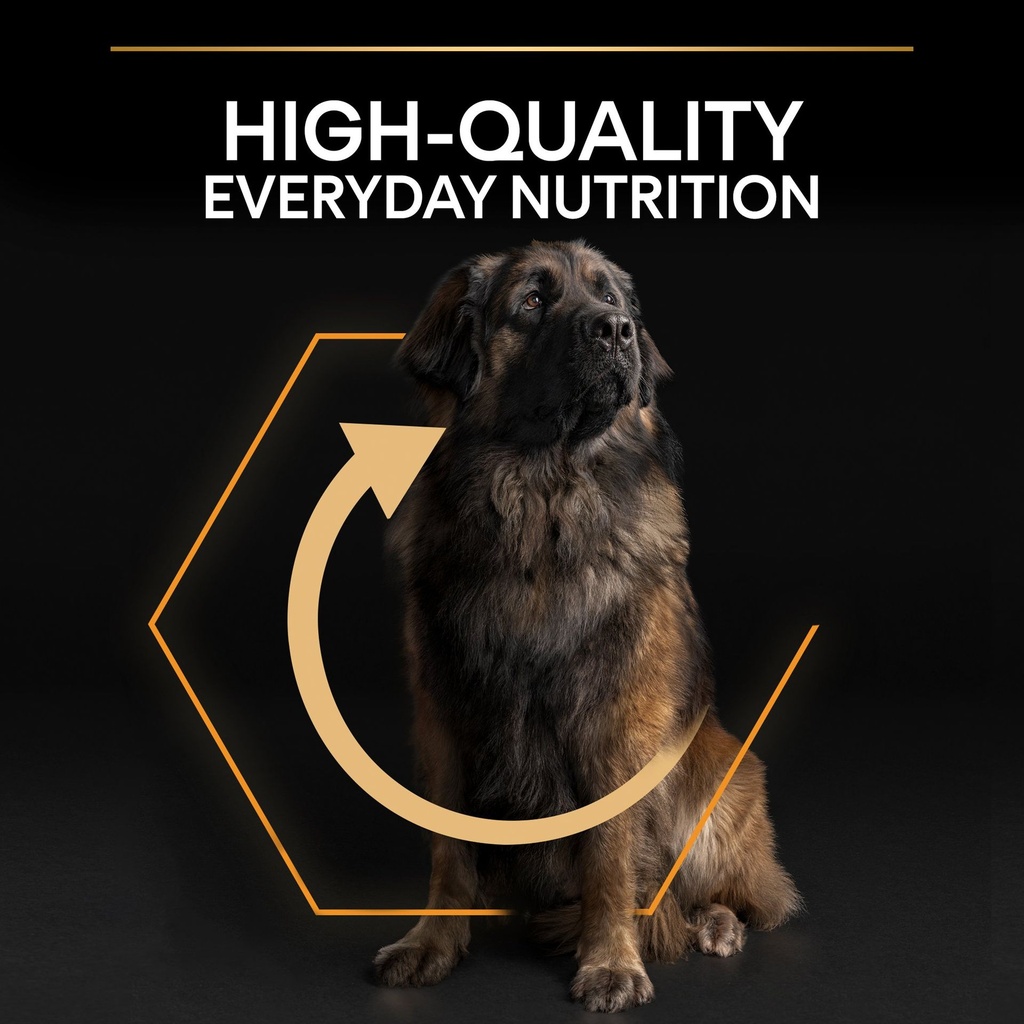 Pro Plan Large Robust Adult Everyday Nutrition Dry Dog Food with Chicken 14Kg
