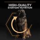 Pro Plan Large Robust Adult Everyday Nutrition Dry Dog Food with Chicken 14Kg
