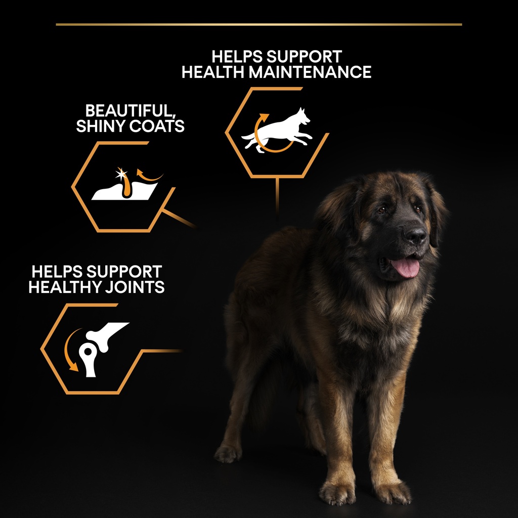 Pro Plan Large Robust Adult Everyday Nutrition Dry Dog Food with Chicken 14Kg