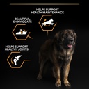 Pro Plan Large Robust Adult Everyday Nutrition Dry Dog Food with Chicken 14Kg