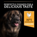 Pro Plan Large Robust Adult Everyday Nutrition Dry Dog Food with Chicken 14Kg