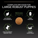 Pro Plan Large Robust Puppy Healthy Start Dry Dog Food with Chicken 3Kg