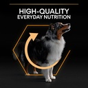 Pro Plan Medium Adult Everyday Nutrition Dry Dog Food with Chicken 3Kg