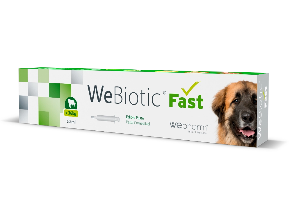WeBiotic Fast 60 ml