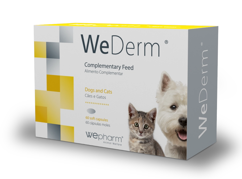 WeDerm 60 Capsules