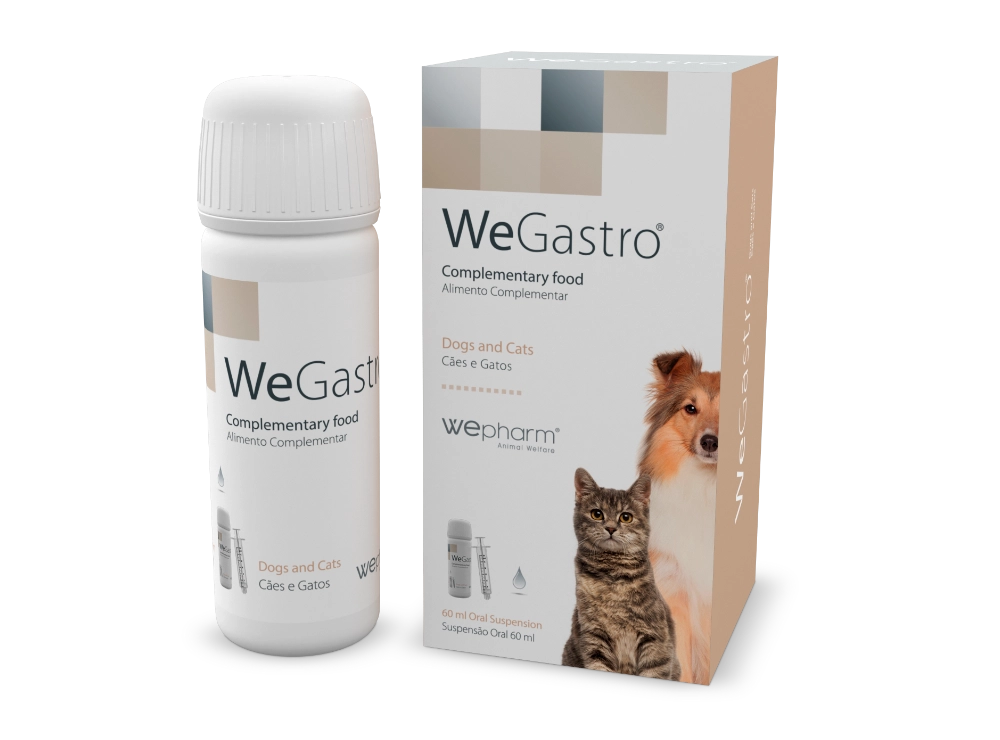 WeGastro 60 ml