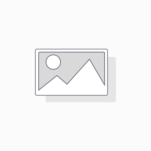 IVS Stabilizer Red Size L
