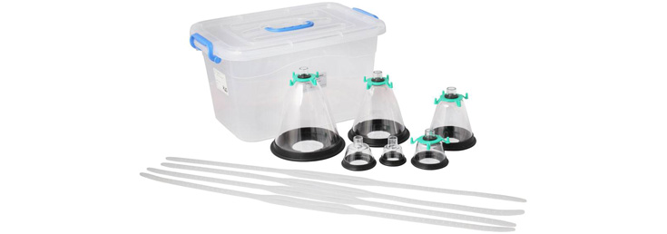 Feline/Canine Mask Set of 6 pcs 