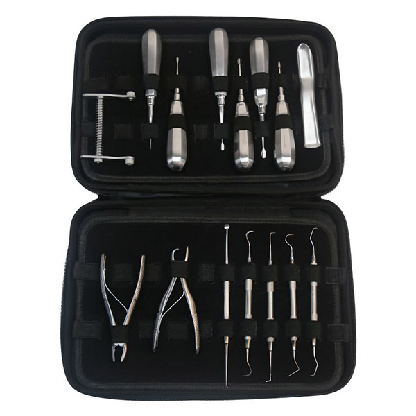 Instrument Set for Dog w/Standard Handle Elevators, 15pcs
