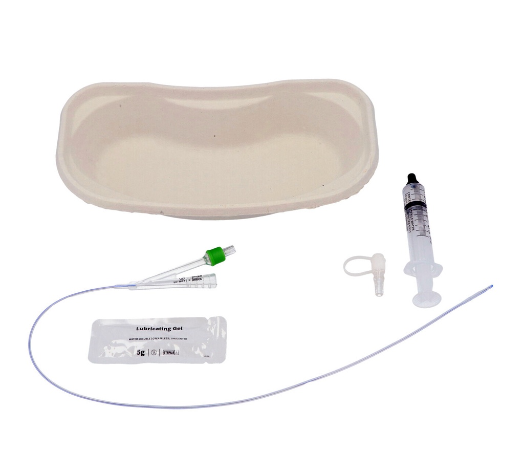 Silicone Foley Catheter Kit, 2.0 mm x 55 cm, 6 Fr x 22”, 1 pcs 