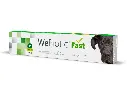 WeBiotic Fast 30 ml