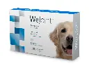 WeJoint Large Breeds 30 Tablets