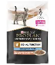Pro Plan Veterinary Diets NF Renal Function Wet Cat Food Pouch Salmon in Gravy 85g
